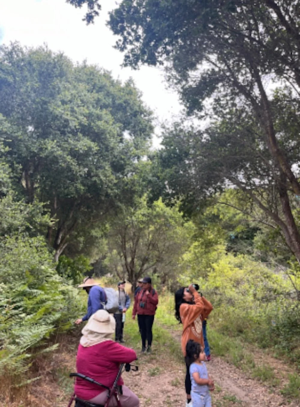 Upper Carr Lake Cleanup and Birding