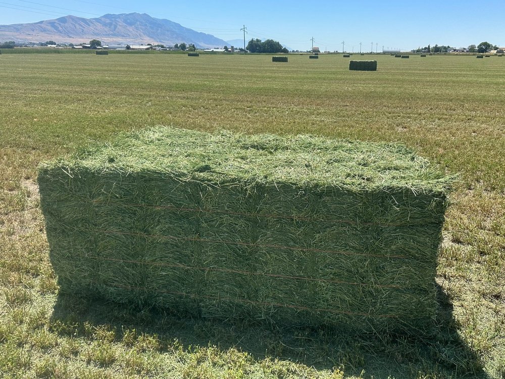 String Brles Riverside Hay Company