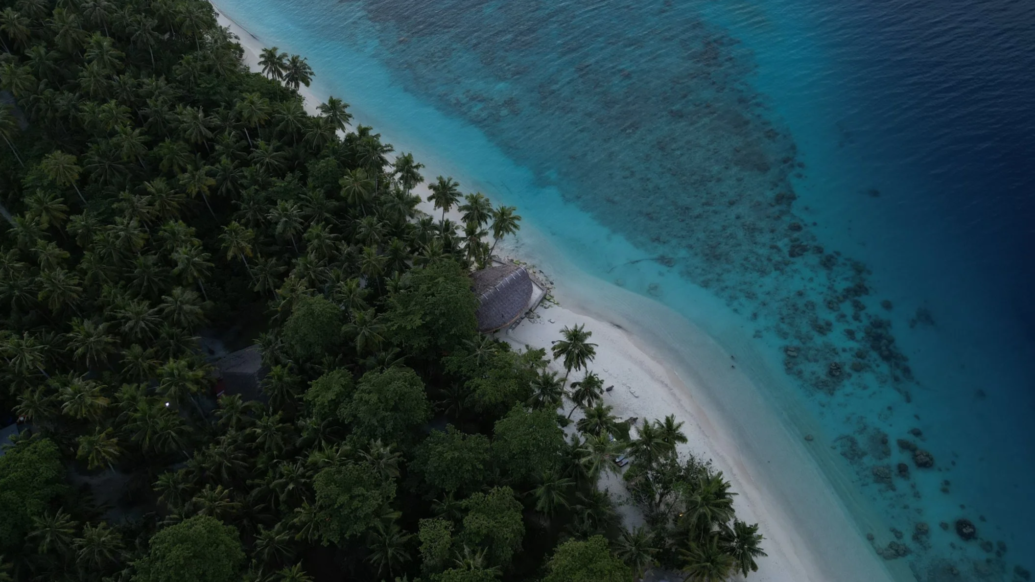 dji_fly_20260221_041748_79_1780808345287_photo.png
