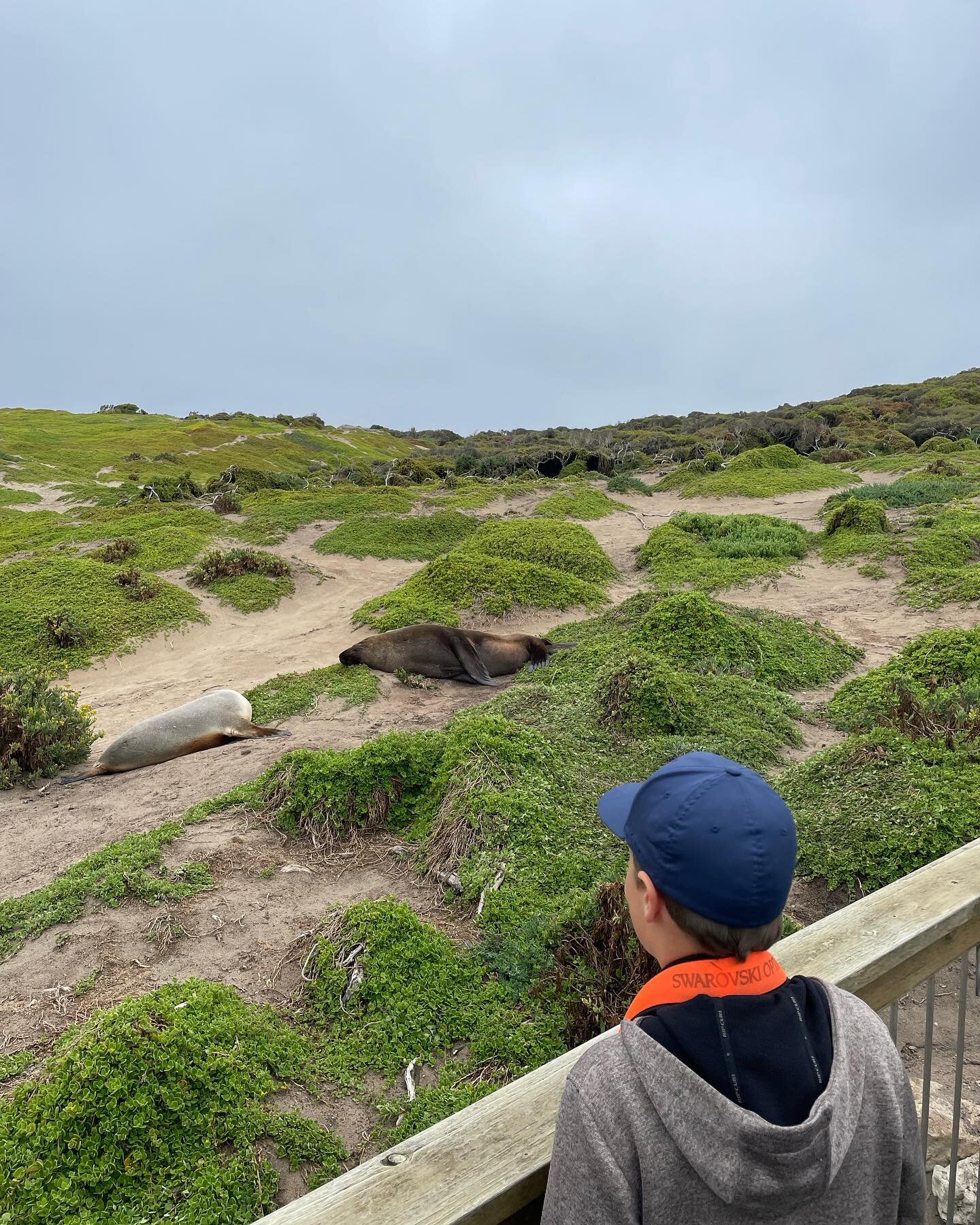 Exceptional, meaning unusual; not typical.

@exceptionalkangarooisland is certainly that and so much more.

What a day exploring K.I with the magnificent Craig, a local with the most, we covered so much and made one boy unbelievably happy to meet a w