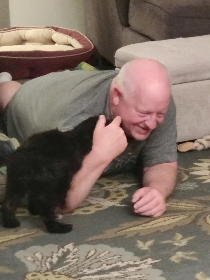 Bergamasco Puppy playing with an elderly bald man