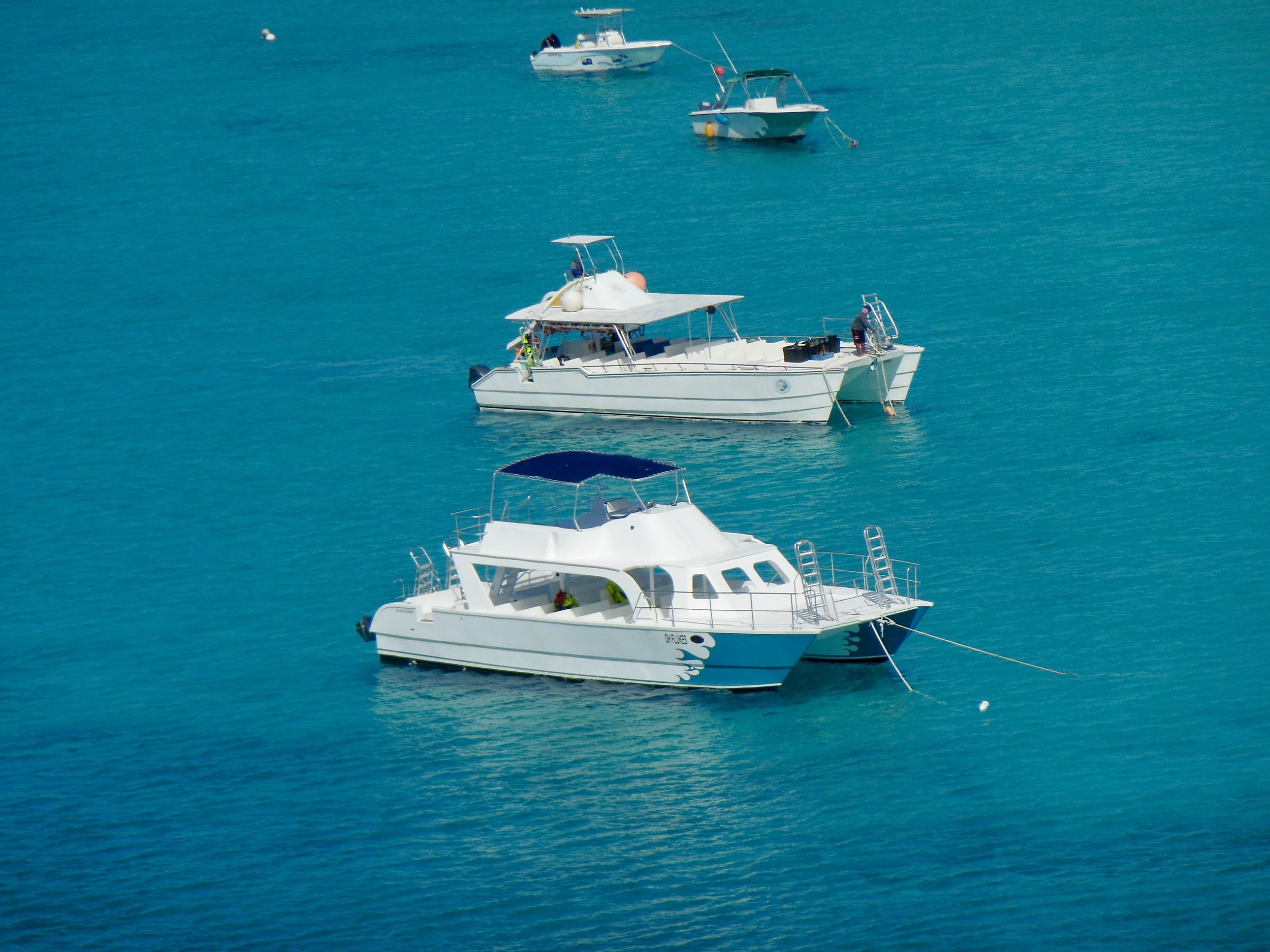 Digital Print - Caribbean