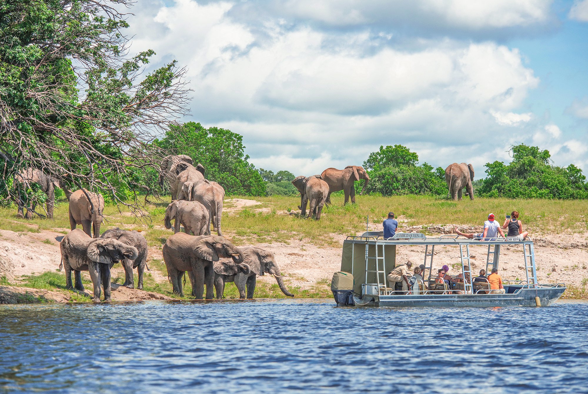 AFR_ZQ_Gameviewing_Chobe.jpg