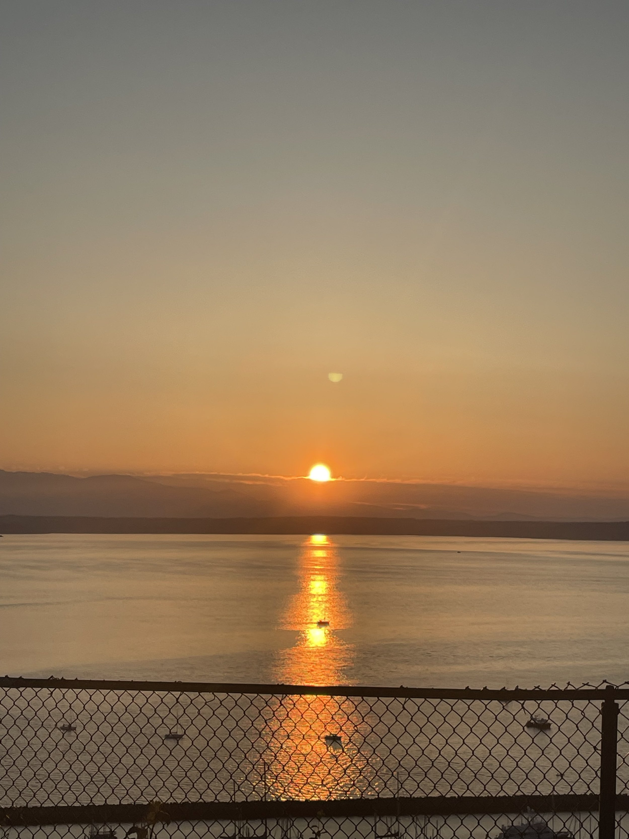 9265BE64-8708-49AE-8BEA-E10ED99E473A.jpeg