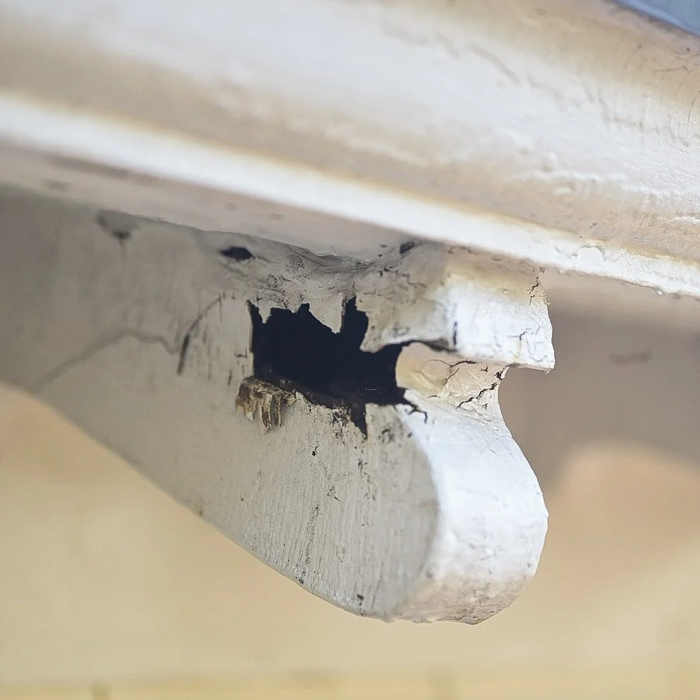 Traditional Wood Rot Repair and Preservation in Lynchburg, VA