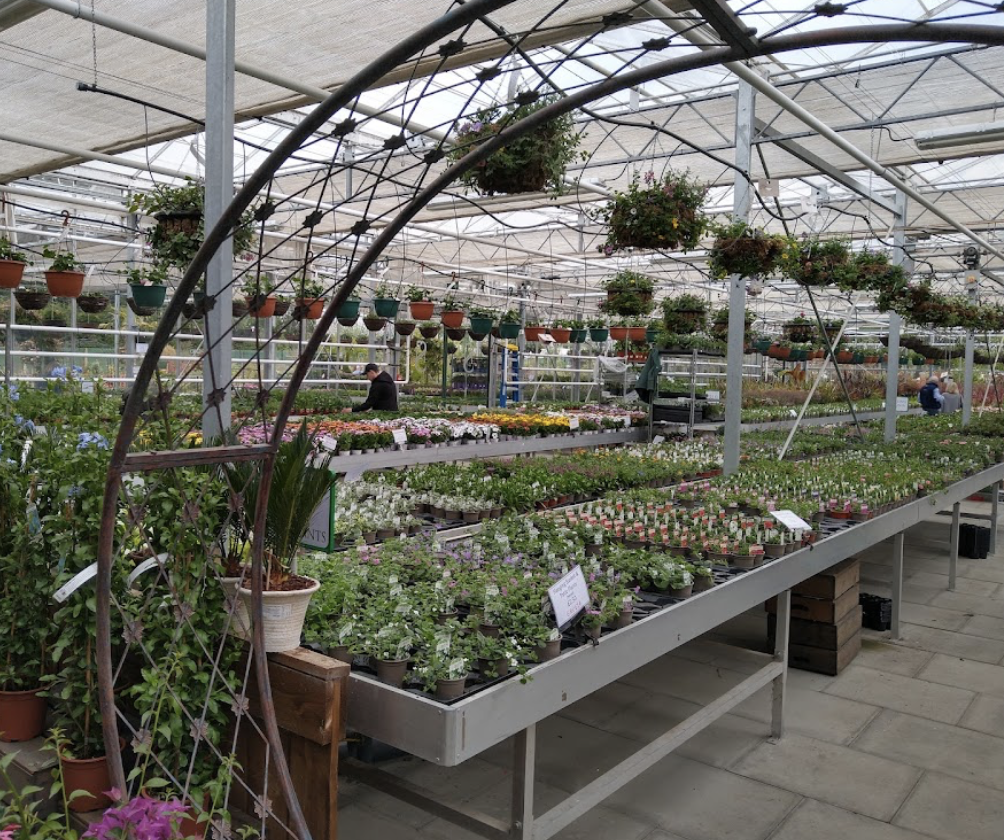 Artisan Spirit Tasting – Staverton Nursery