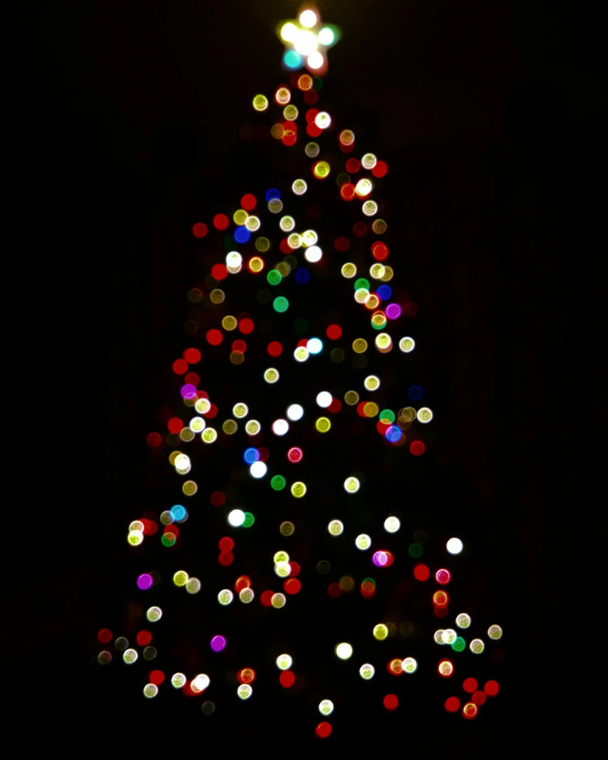 Candlelight Concerts at the Fort Worth Botanic Garden: Holiday Special