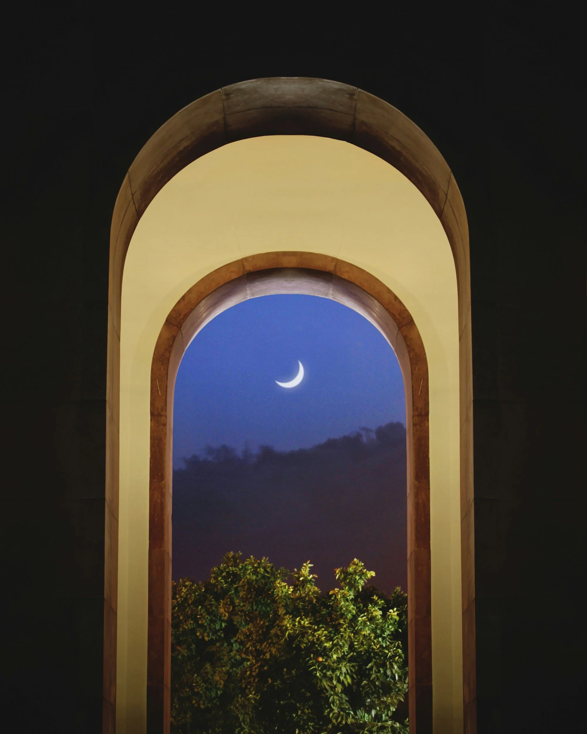 "Roses of Golestan" with Rossini Club at the Museum of Fine Arts, St. Petersburg, FL