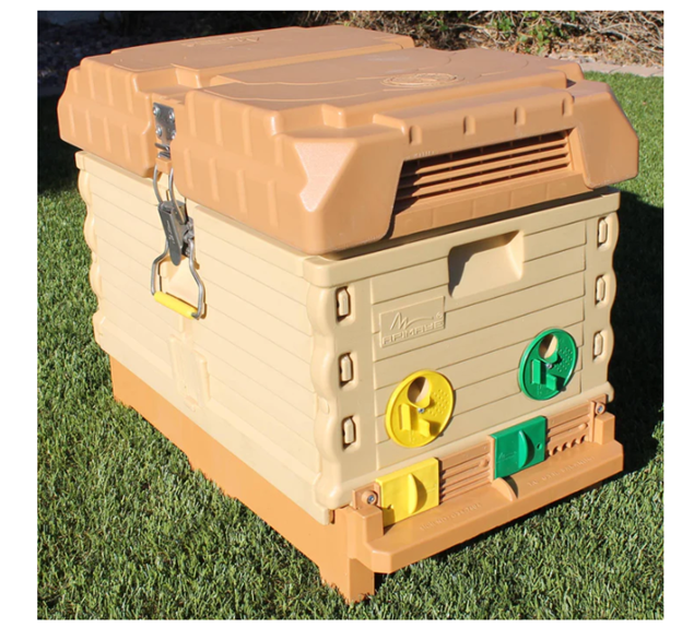 Picture TAN NUC14.png