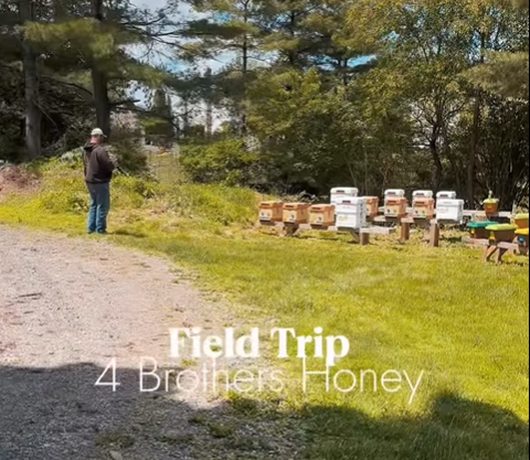 Tour I.png