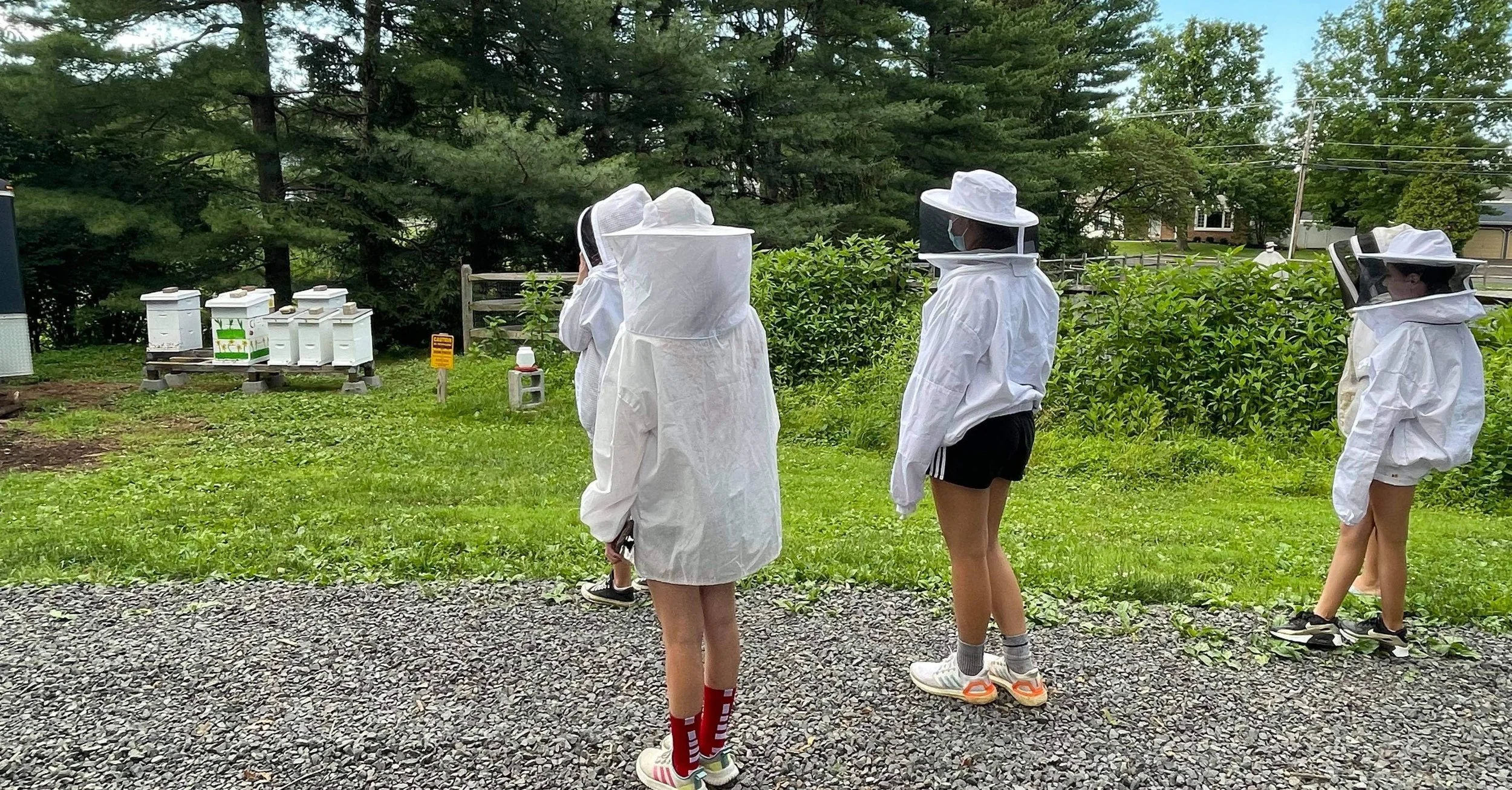 Bee Education.jpg