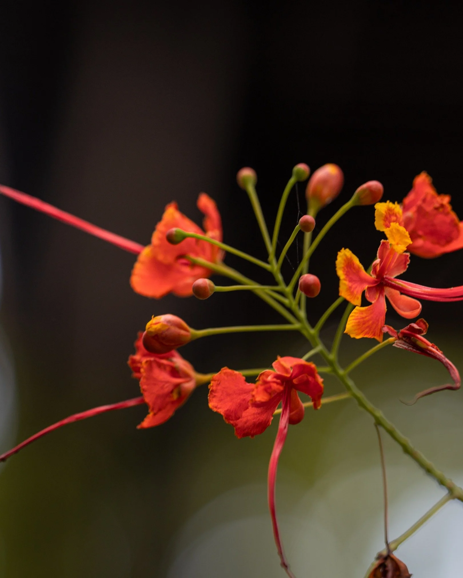 Where Relaxation Finds You

Wake up to waves, wander through gardens, and unwind in spaces that feel like home. This is your sign to slow down &ndash; Sabangan style. 🛌🌅

Enjoy your most restful days with these exclusive online offers:
💜 Stay 2 ni