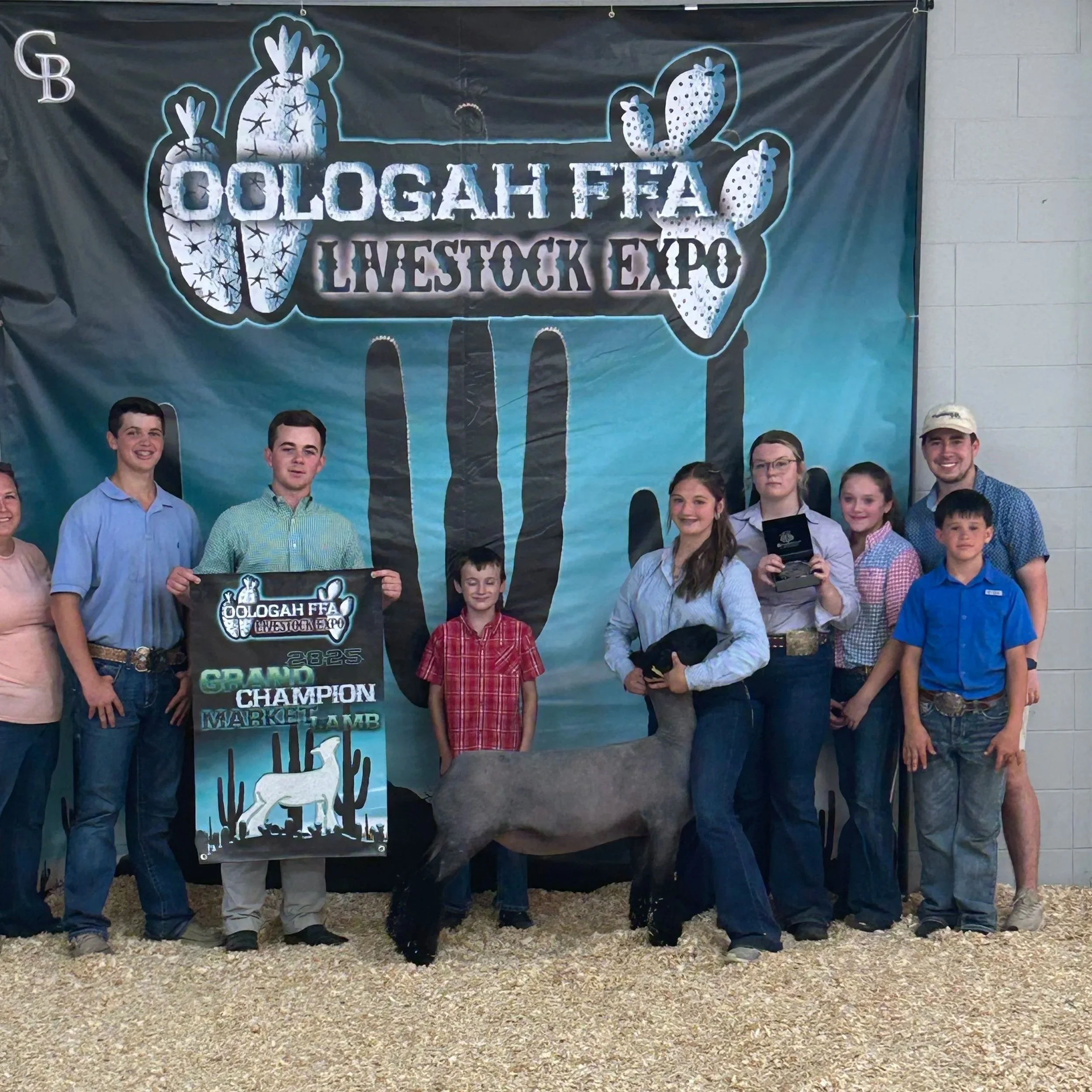 Grand Champion Market Lamb - Cologah FFA Livestock Expo - Emerson Belt