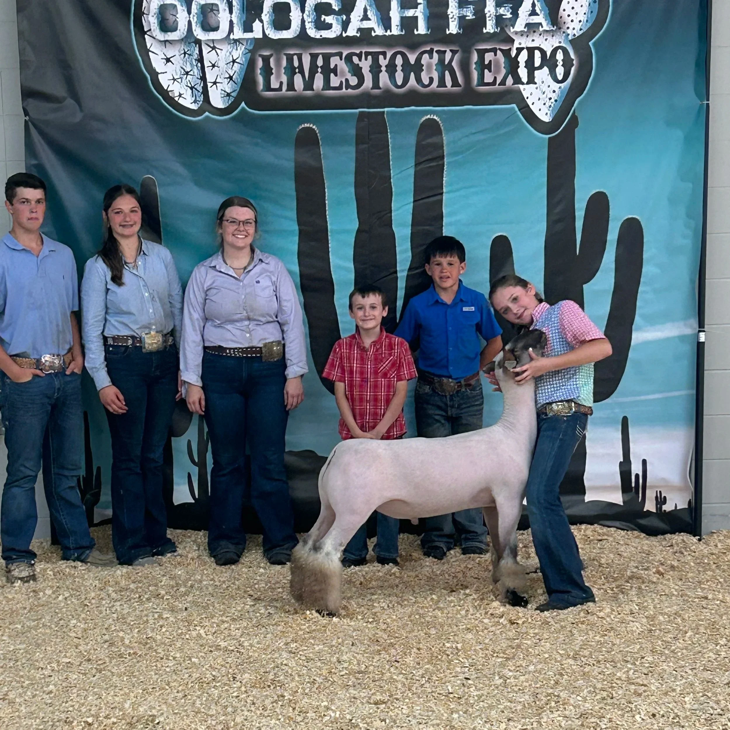 Champion Crossbred - Cologah FFA Livestock Expo - Amelia Barton