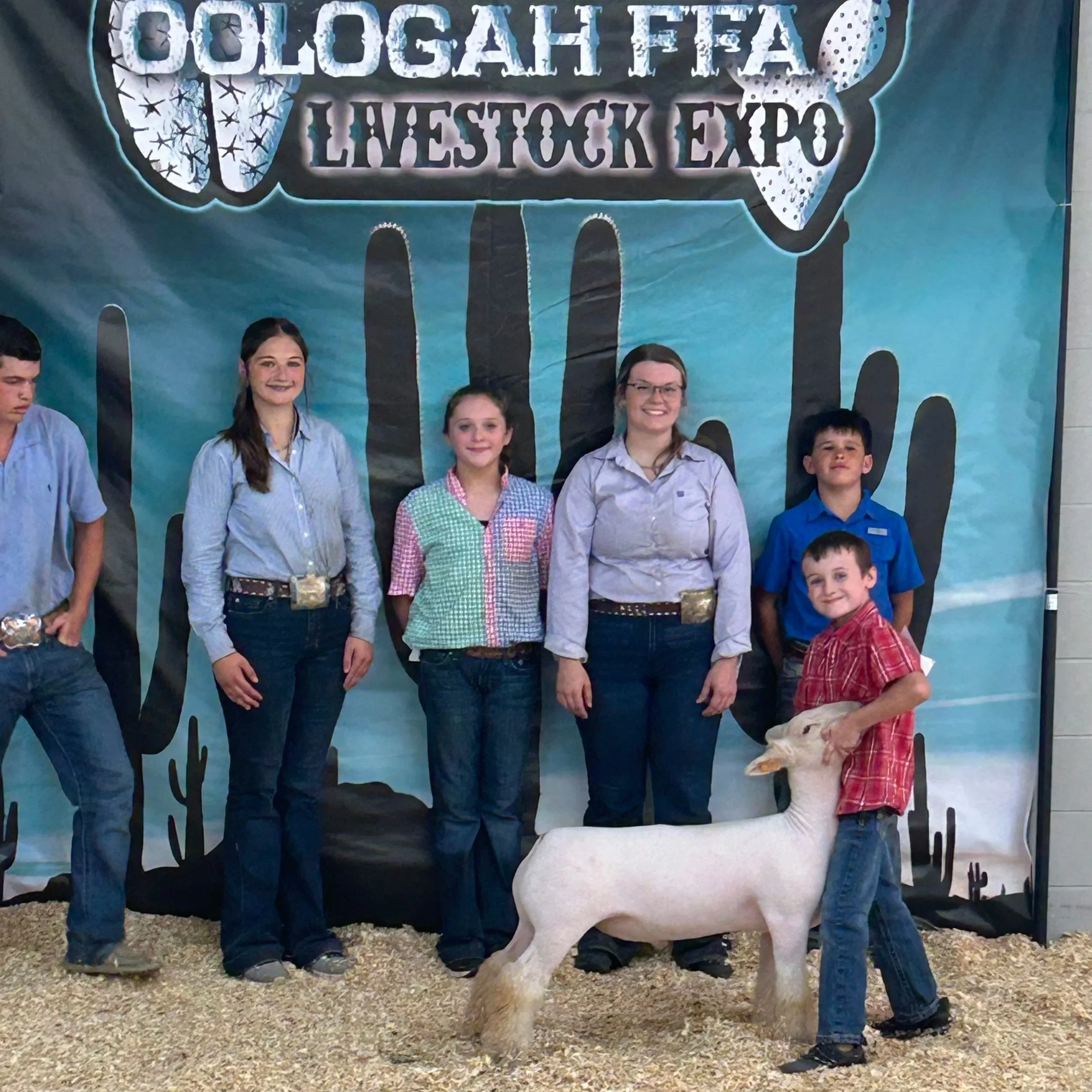Champion Southdown - Cologah FFA Livestock Expo - Jones Barton