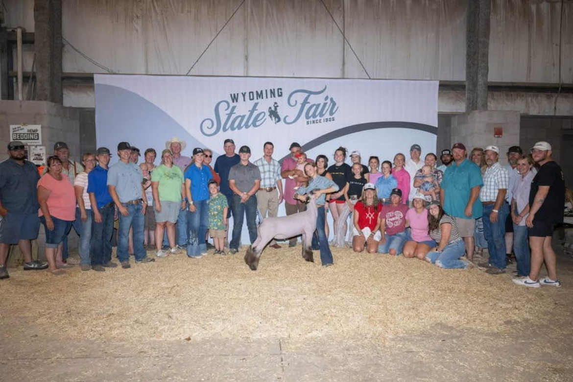 Reserve Hampshire - Wyoming State Fair - Jori Miller