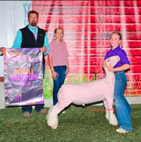 Champion Dorset Lamb - Andy Kennedy Memorial Jackpot - Elise Honeycutt