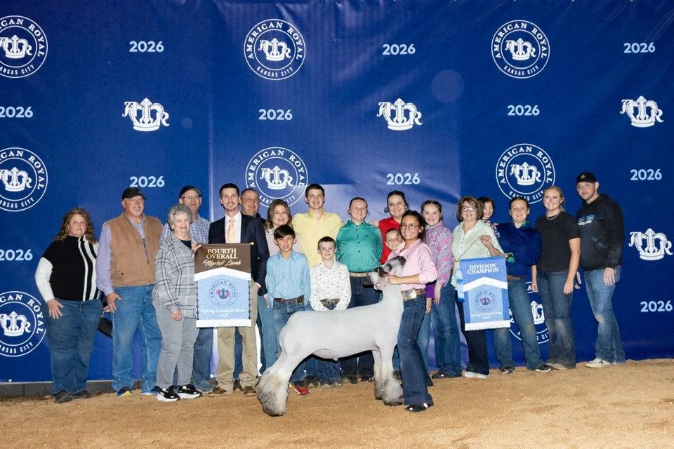 Champion Hampshire and Fourth Overall Market Lamb - American Royal Spring Youth Livestock Show, 2026