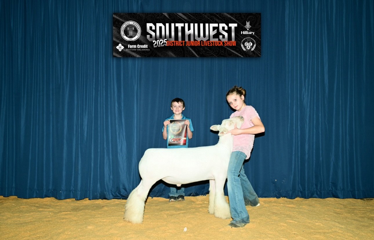 Reserve Champion Southdown - Southwest District Junior Livestock Show - Amelia Barton 