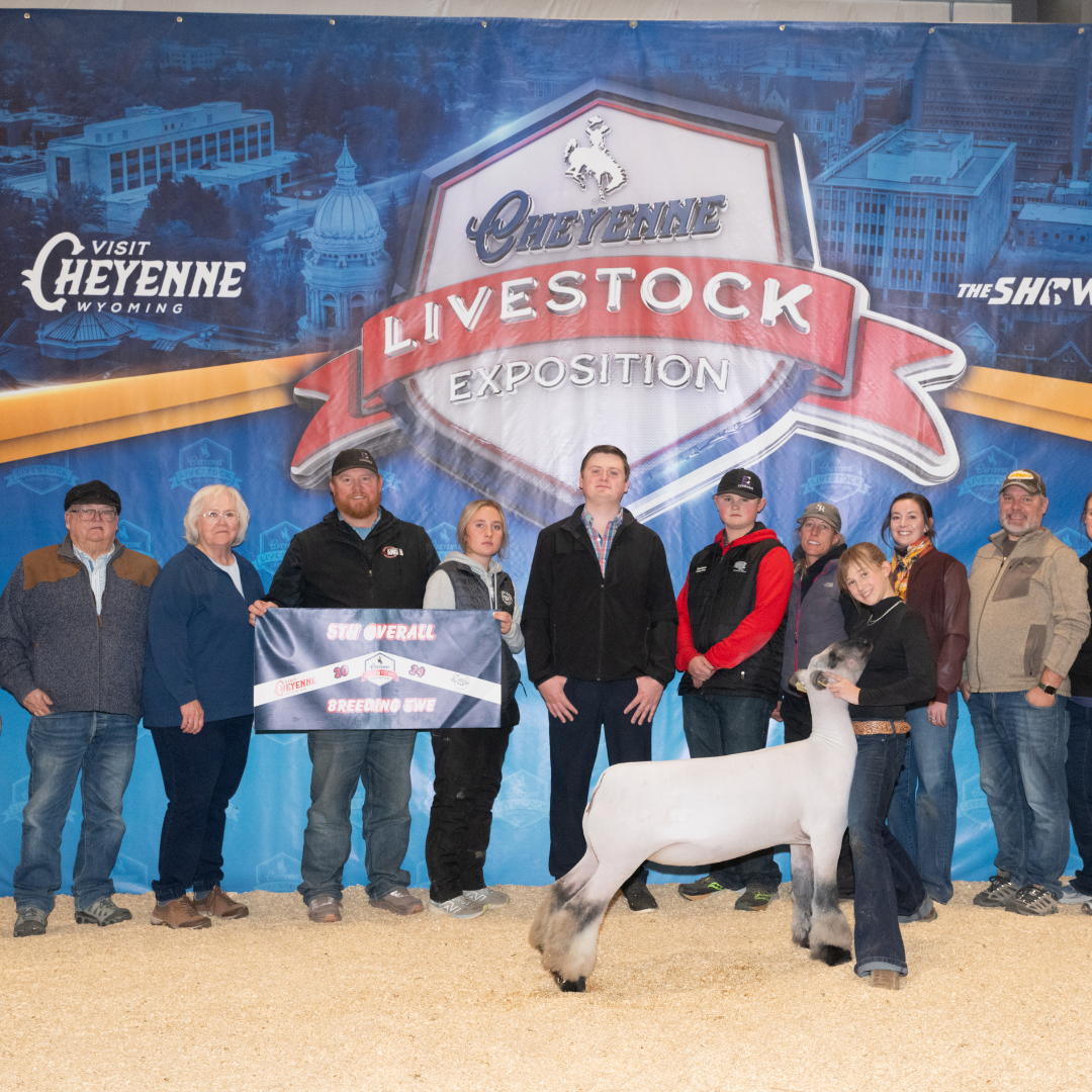 5th Overall Breeding Ewe - Cheyenne Livestock Exposition - Jorie Miller