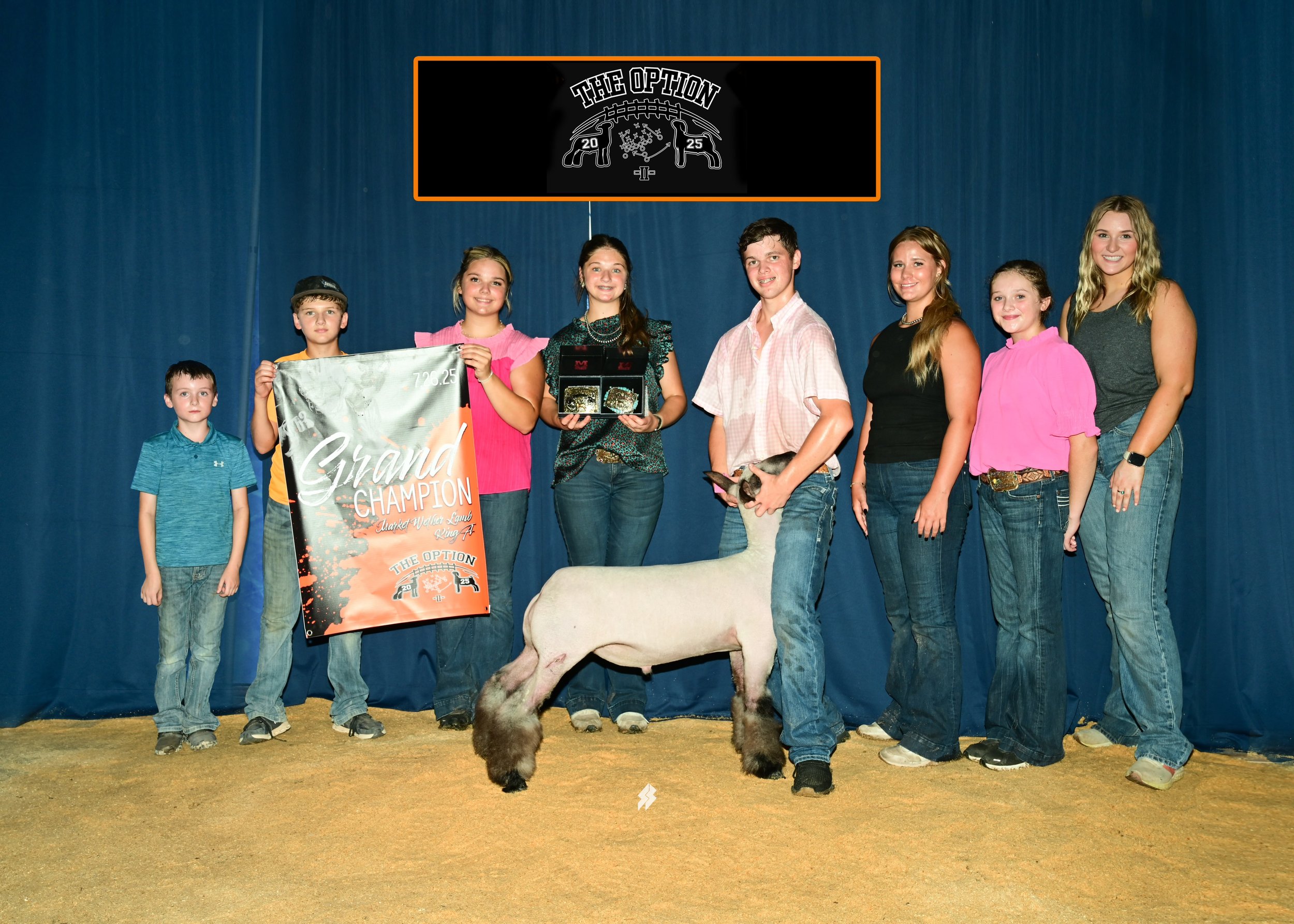 Grand Champion Market Lamb - The Option - Joel LeLaCheur