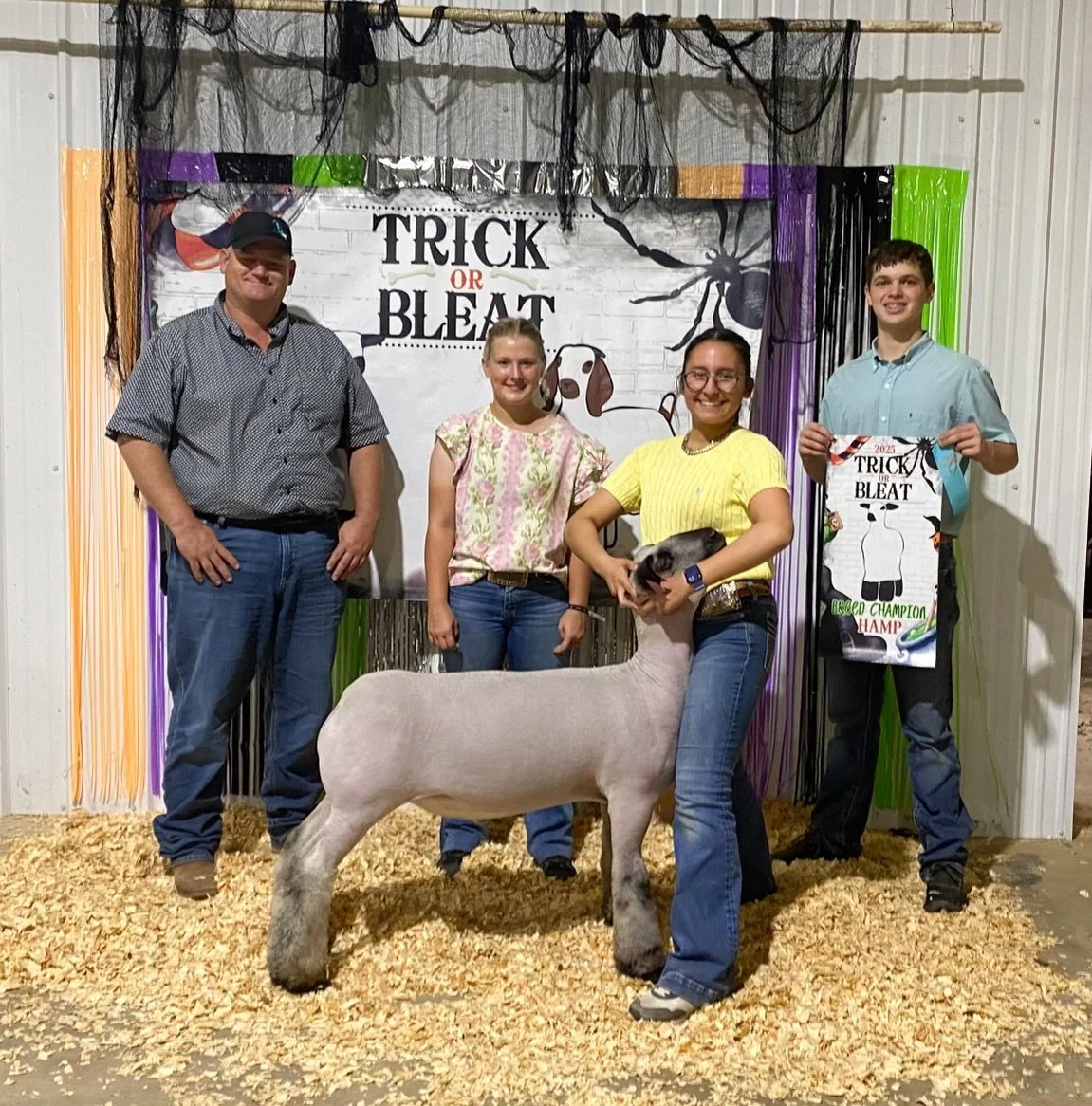 Champion Hampshire - Trick or Bleat - Makayla Morris