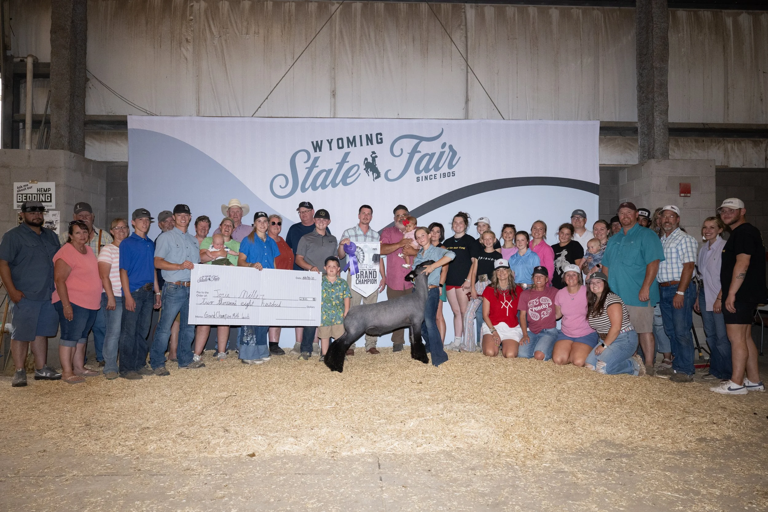 Grand Champion Market Lamb - Wyoming State Fair - Jori Miller