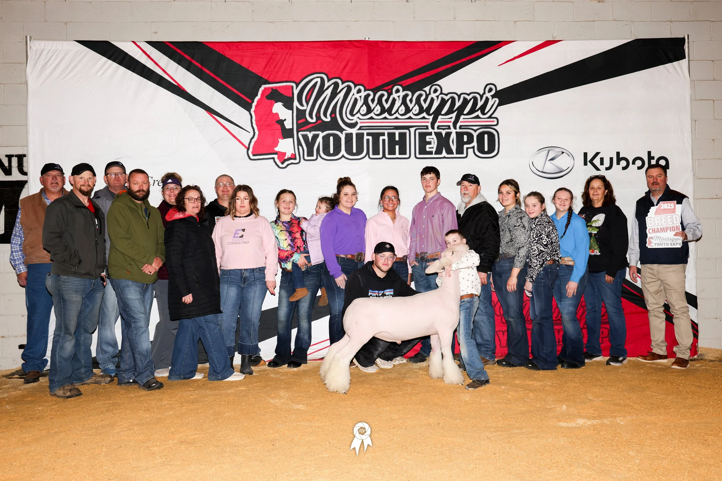 Champion Dorset - Mississippi Youth Expo - Jones Barton