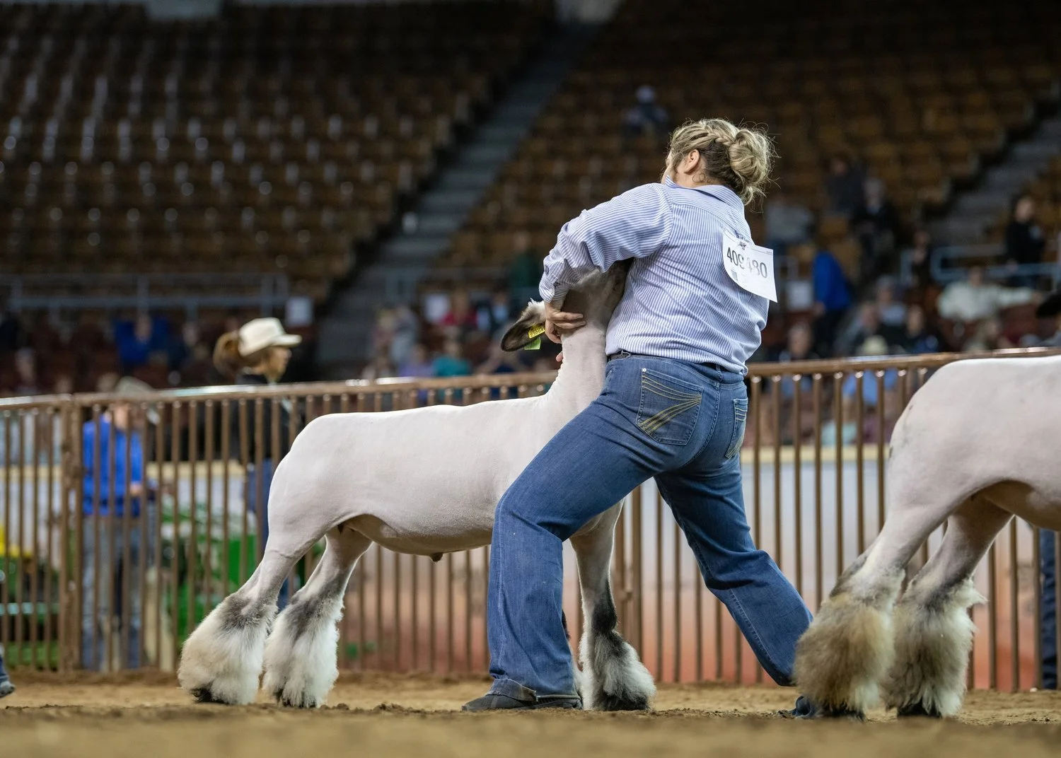 Sale Qualifier
Oklahoma Youth Expo, 2024