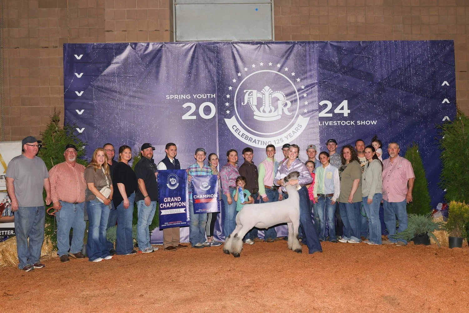 Grand Champion Market Lamb
American Royal Spring Youth Livestock Show, 2024