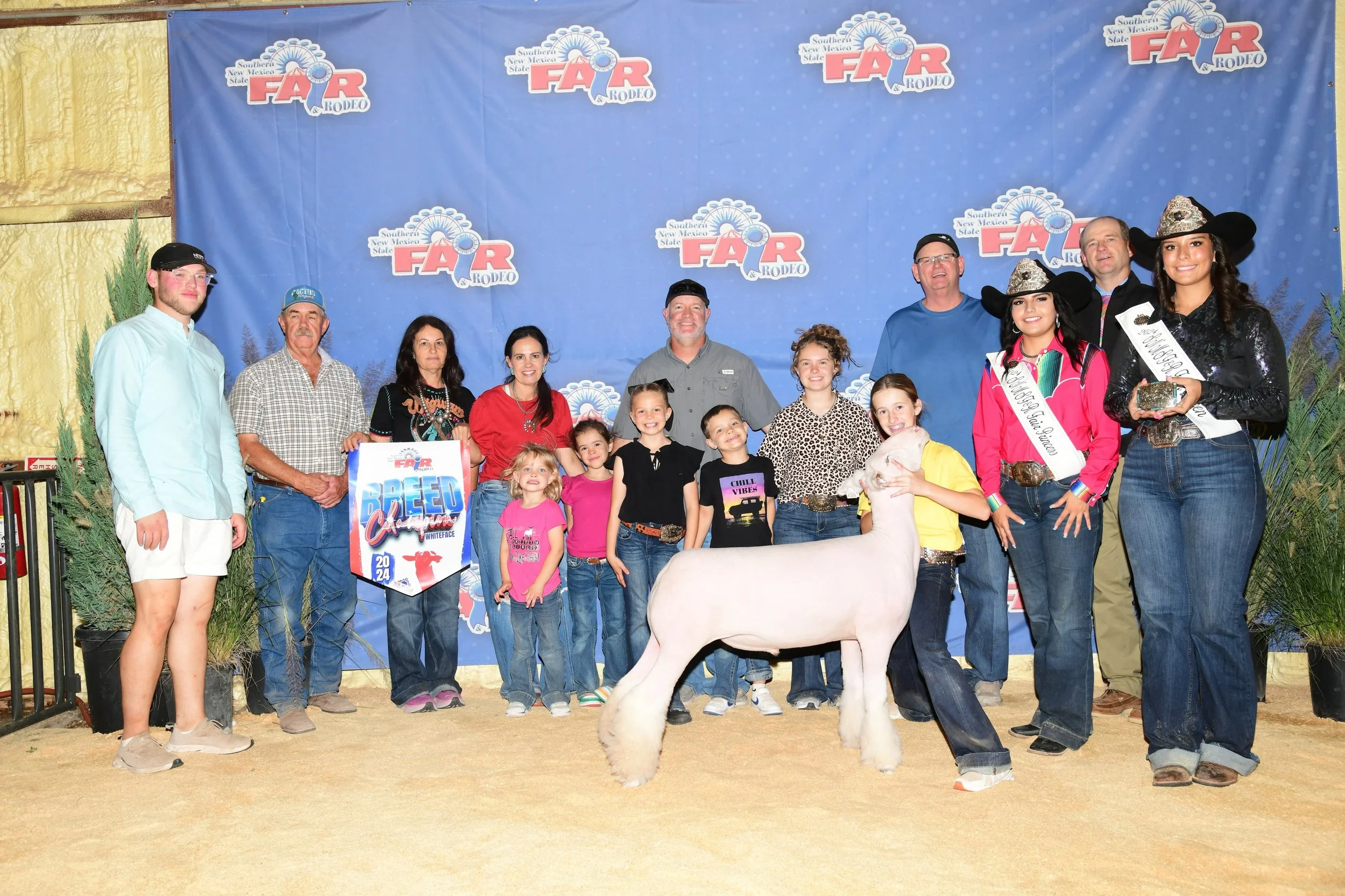 Breed Champion Dorset - Southern New Mexico State Fair - Reece Howell