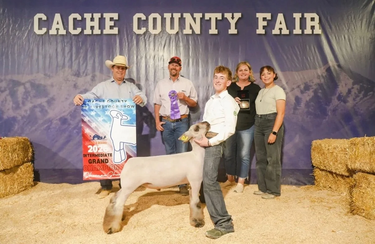 Grand Champion Market Lamb - Cache County Fair, UT - Chance Earl