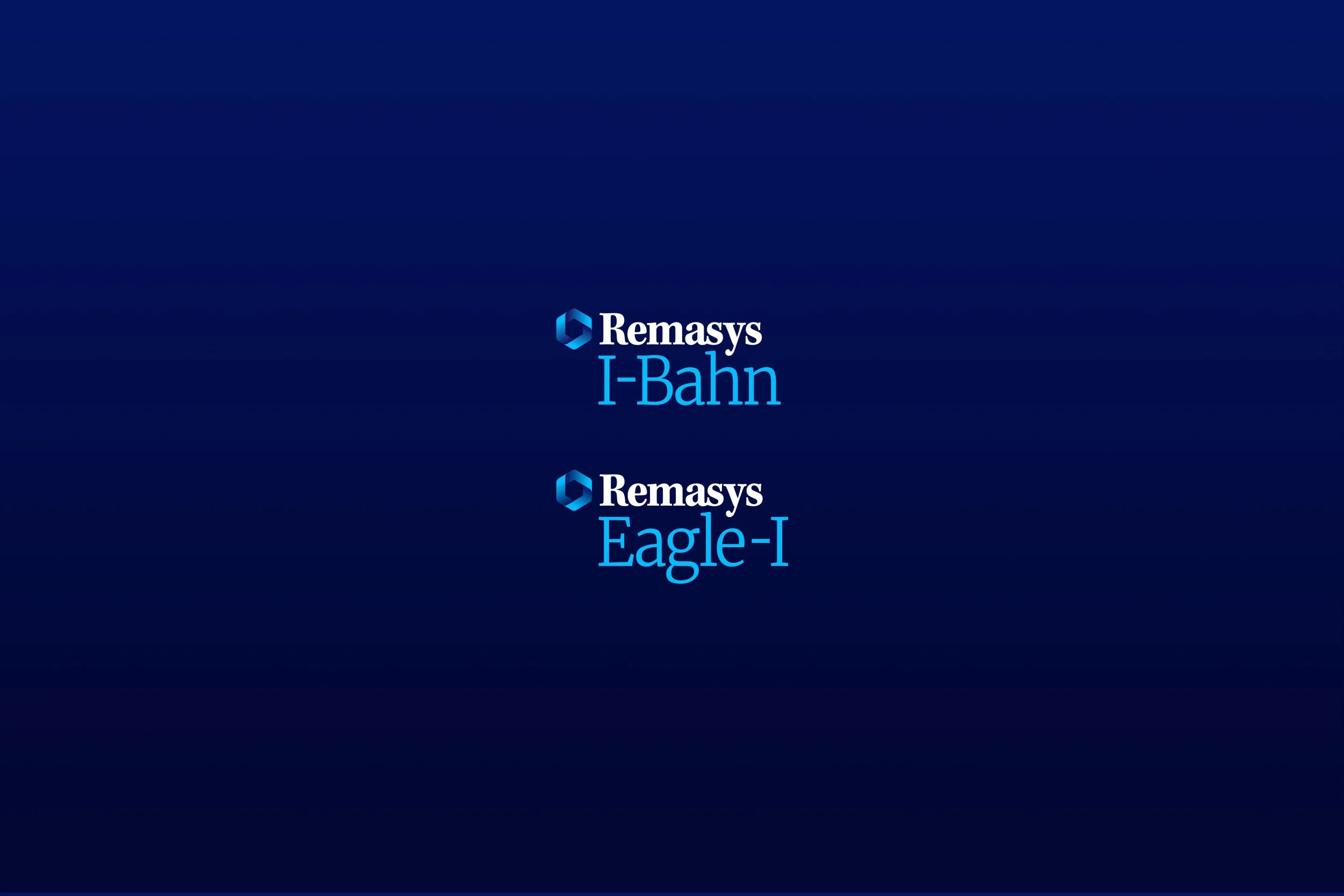 Remasys_2.jpg