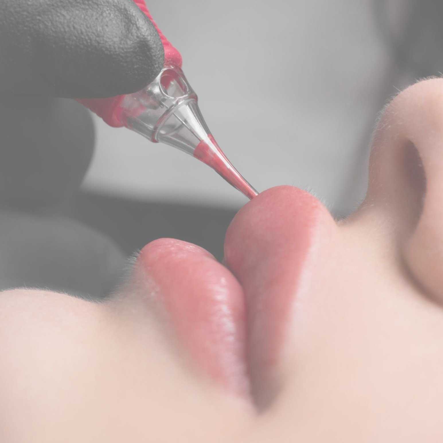 PMU Lip Blush Micropigmentation Training Manual