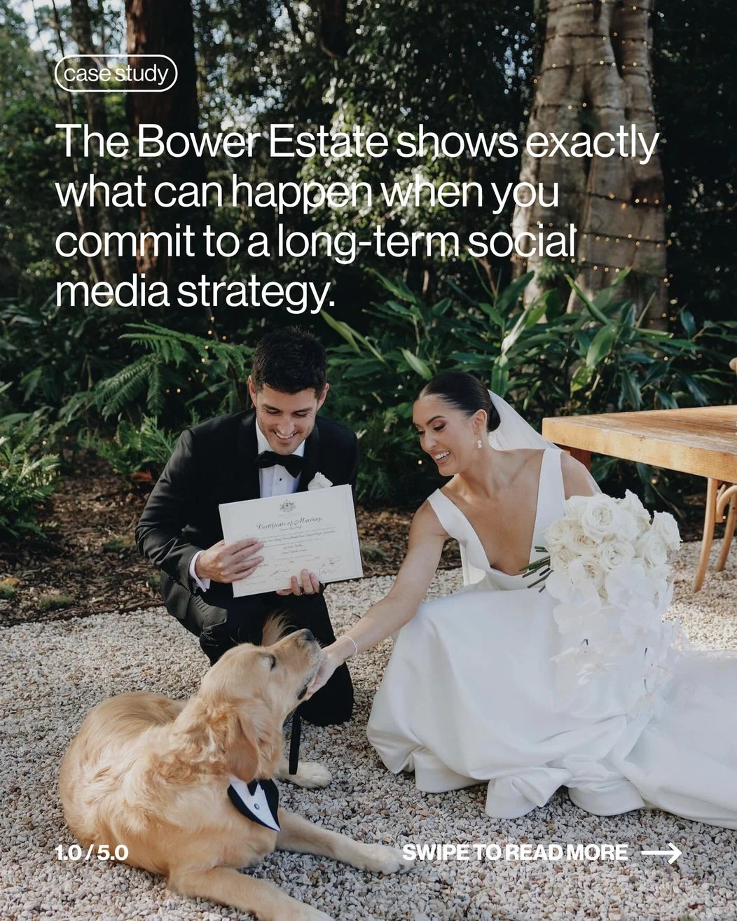 The Bower Estate is a perfect example of what can happen when you commit to a long-term social media strategy.

Strong brands aren&rsquo;t built overnight. They are built through consistency, storytelling and showing up with purpose.

Over time, we h