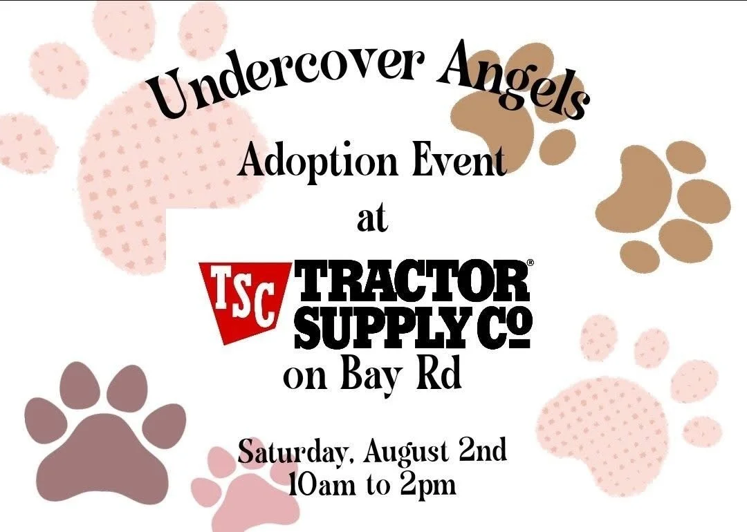 Adoption Event @ TSC on Bay Road