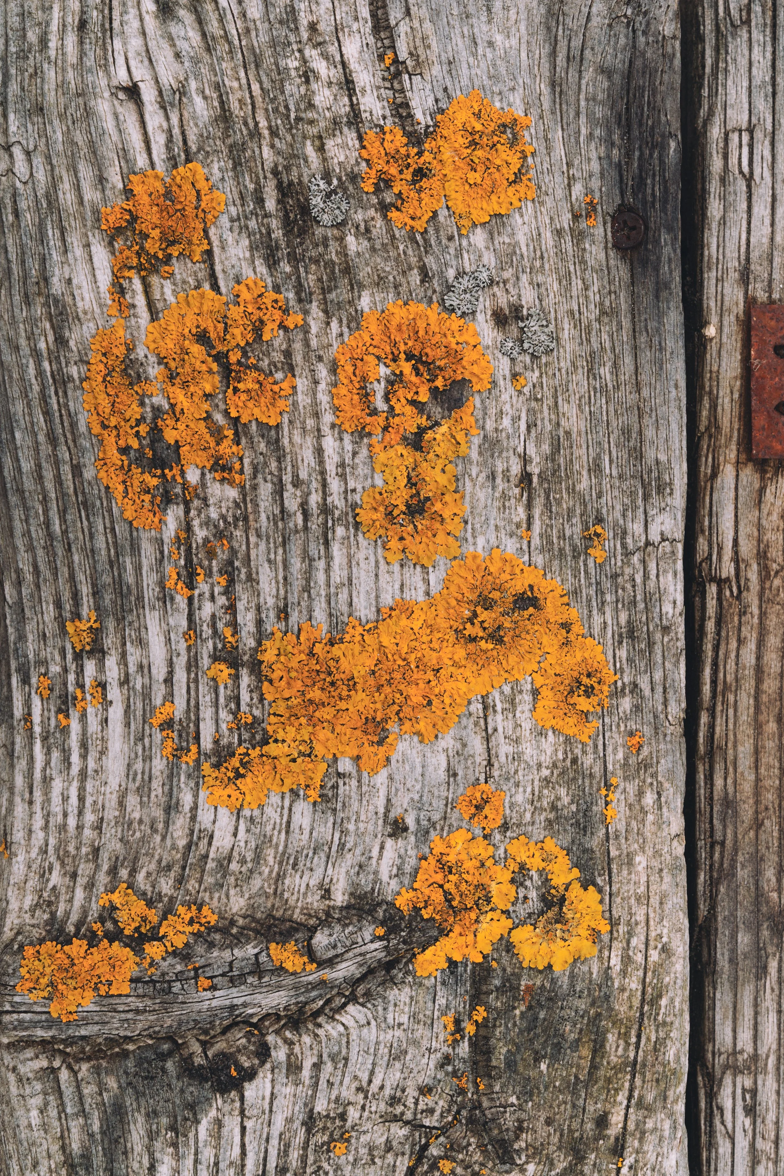 _SD06705.jpg