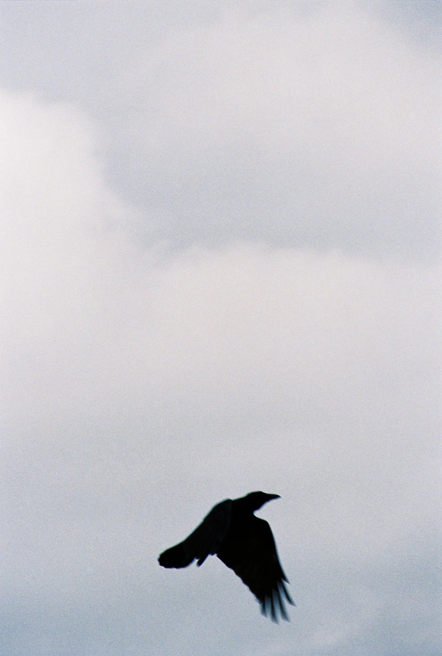 000039 kopie.JPG