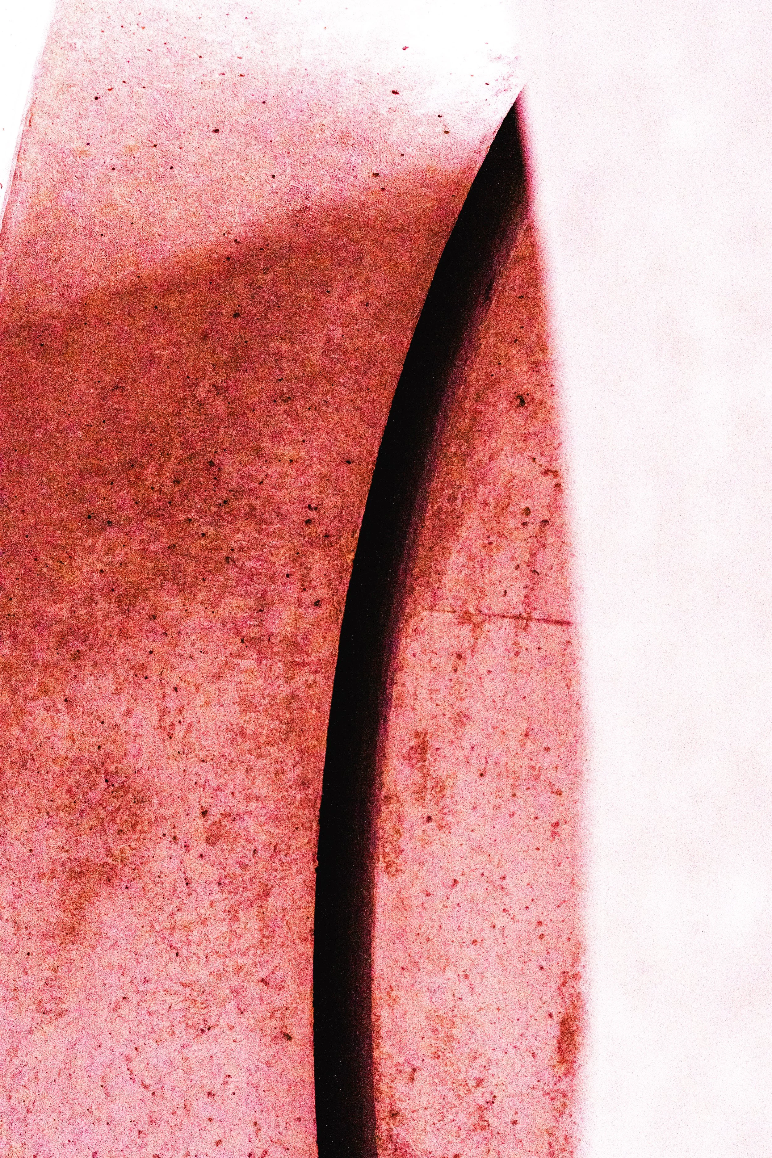 _SD05477.jpg