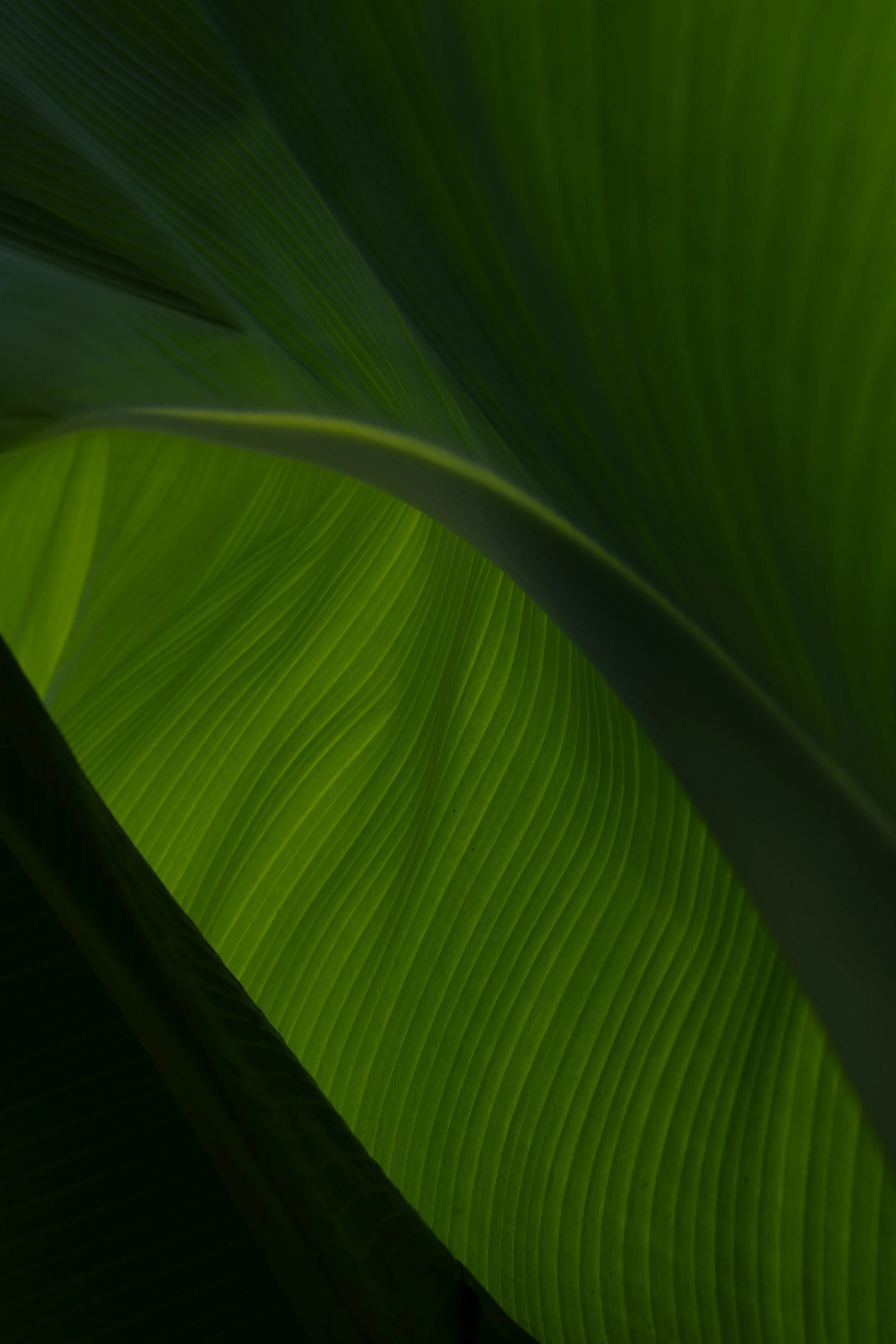_SD08626.jpg