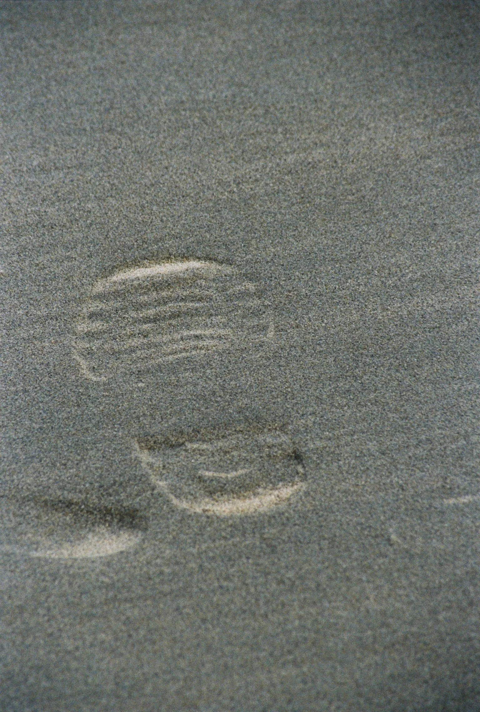 000040 kopie.JPG