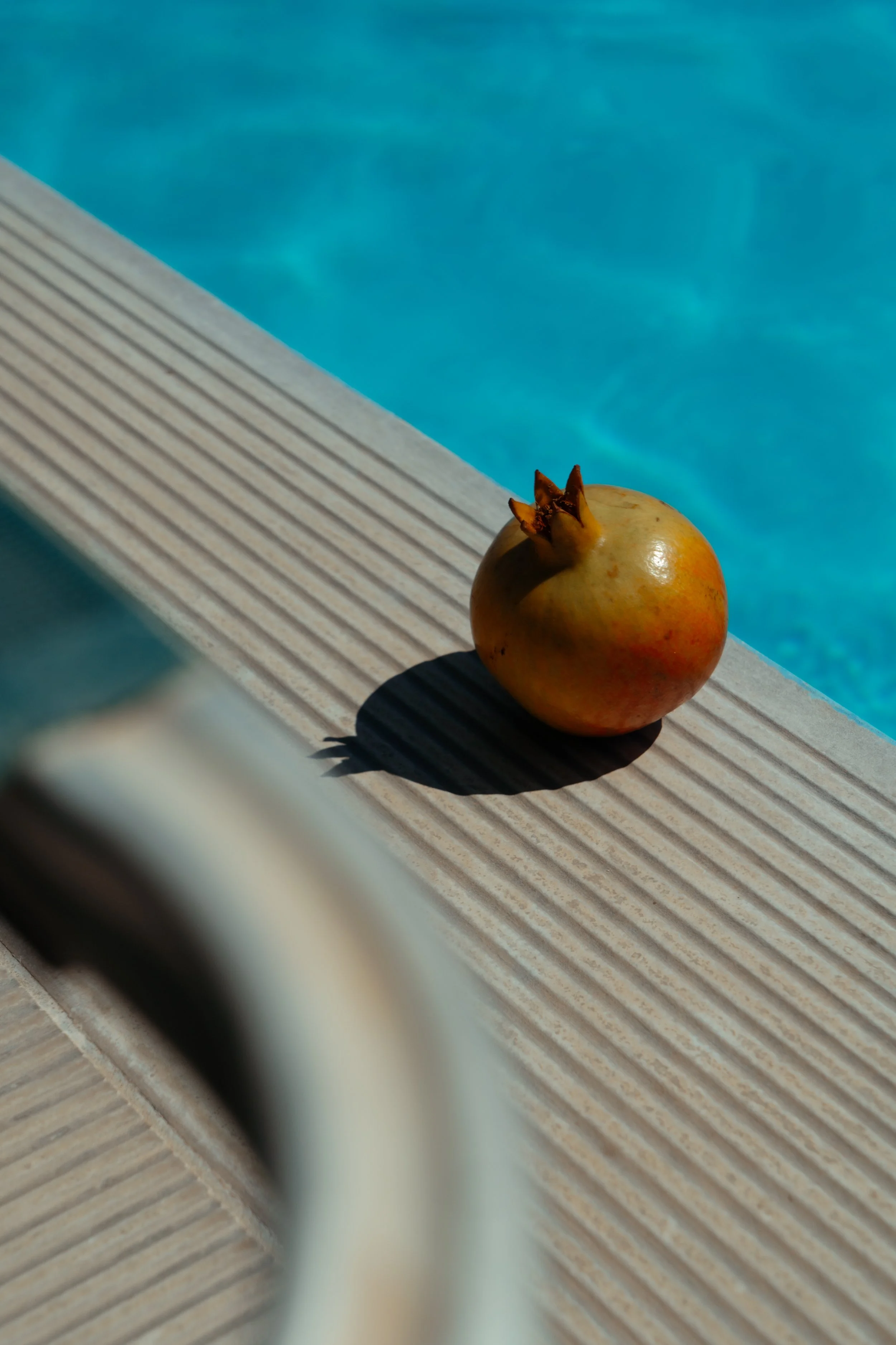 _SD07934.jpg