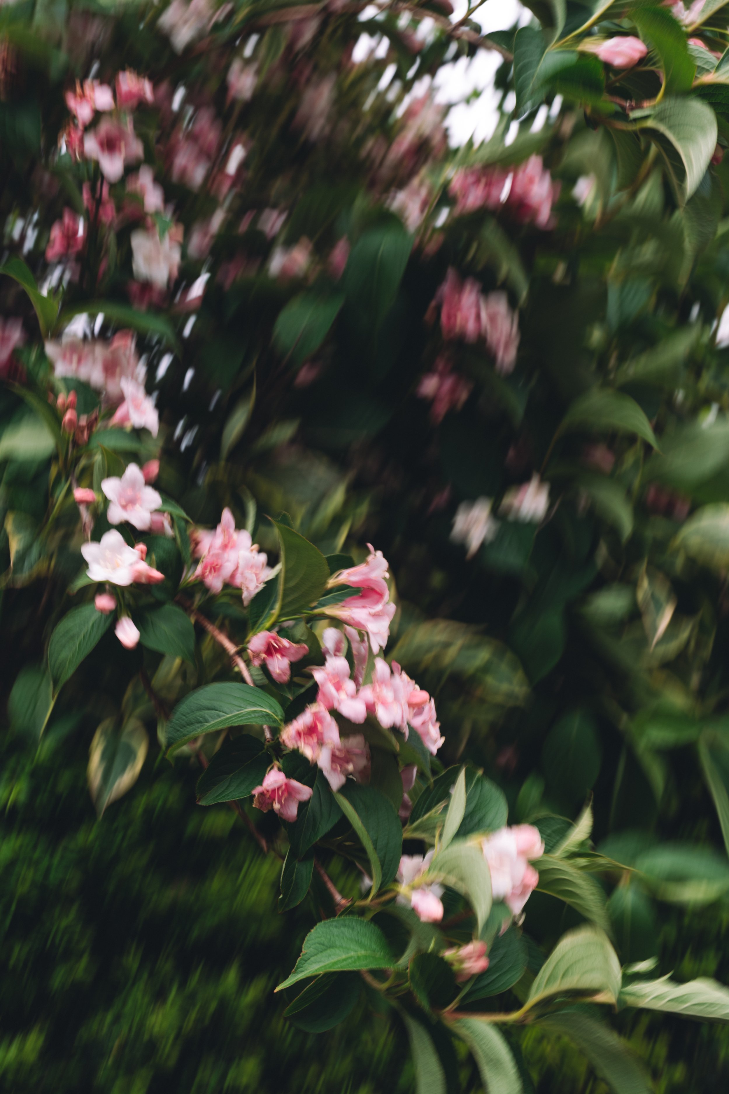 _SD05074.jpg