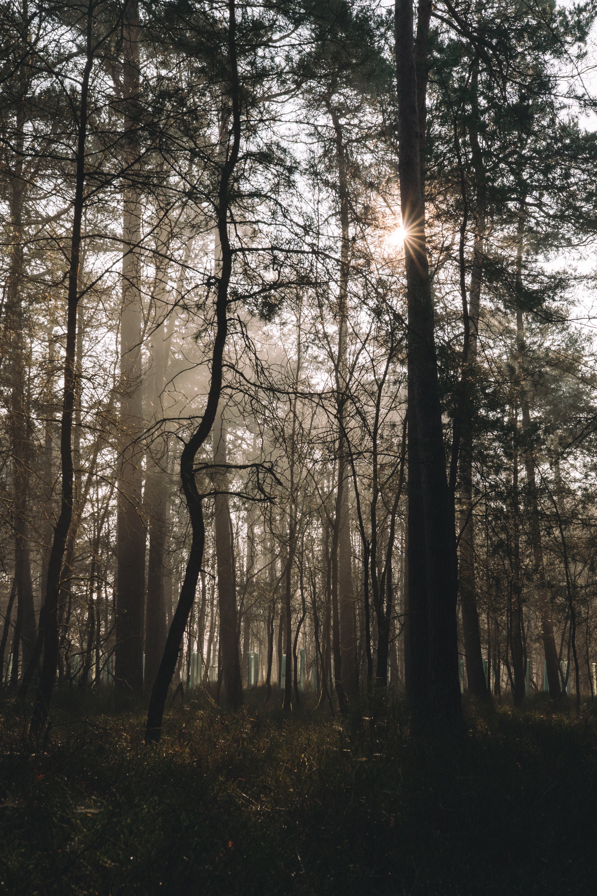 Retraite - Turning off, Tuning in