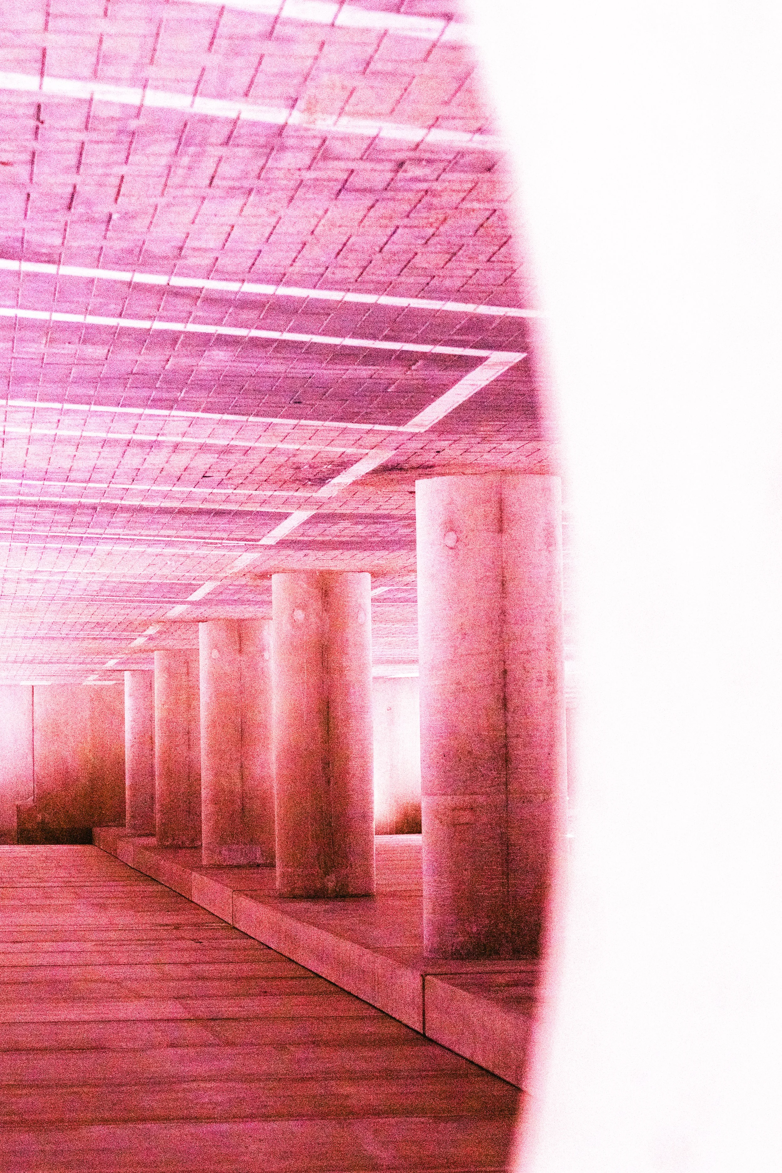 _SD05480.jpg