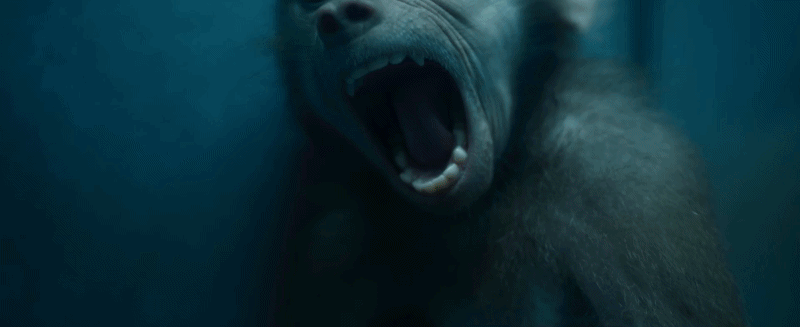 30_millions_damis monkeys.gif