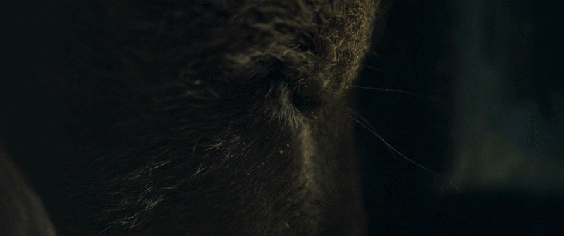 30_millions_damis__i__directed_by_bruno_aveillan_v11080p-ezgif.com-video-to-gif-converter copie2.gif