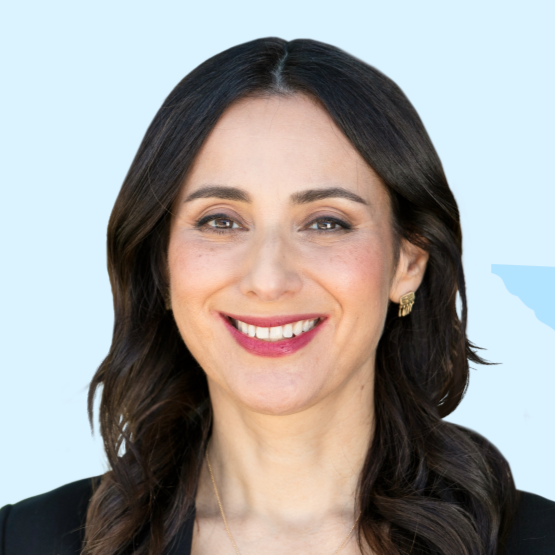 Gina Hinajosa - Governor of Texas
