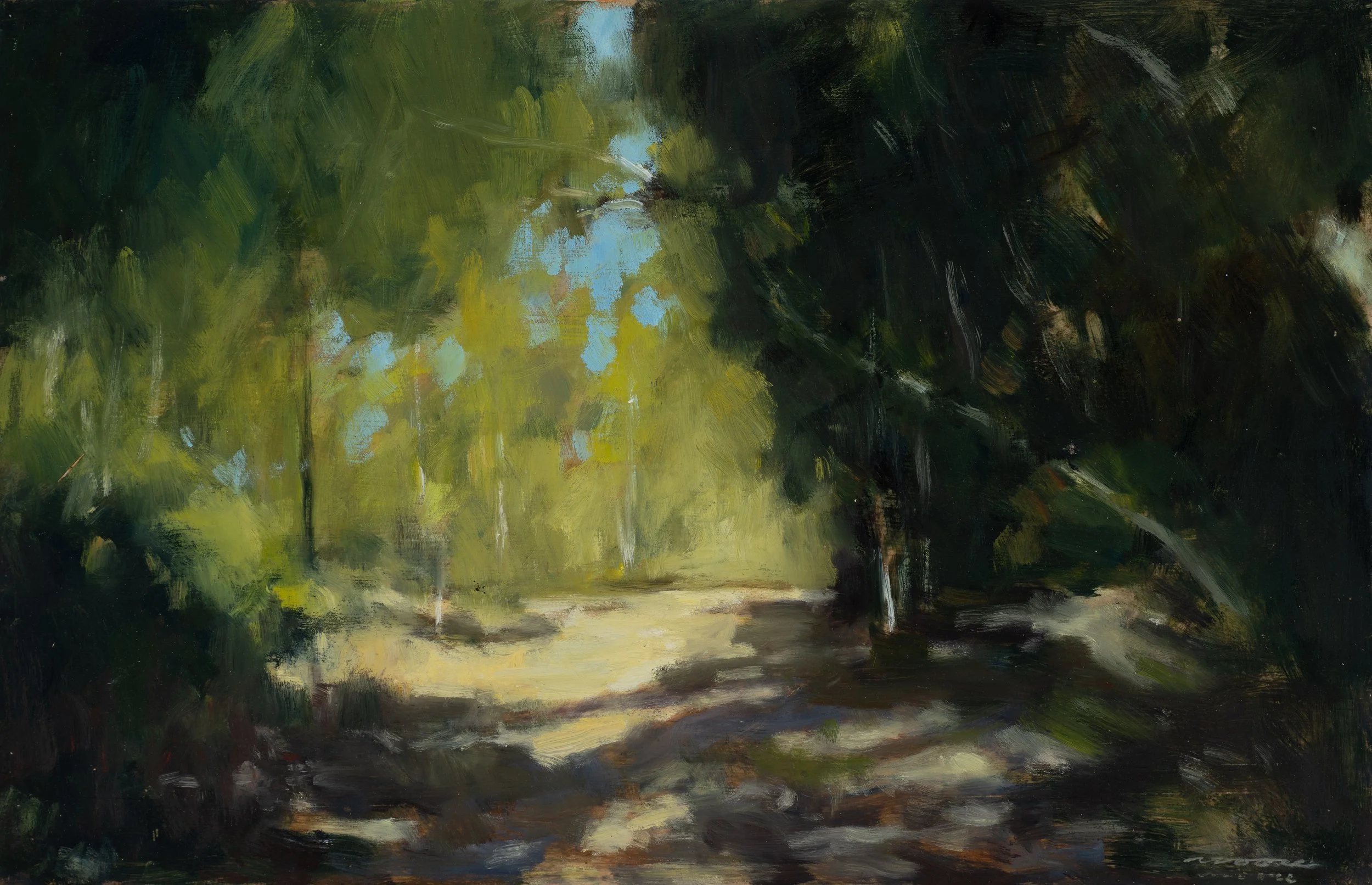 David Moore, Shadows Castlemaine.jpg