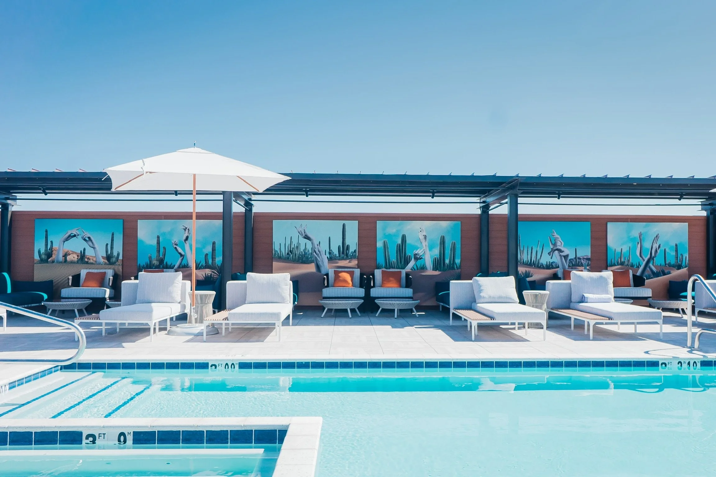 DSC08894_Original 2.jpg